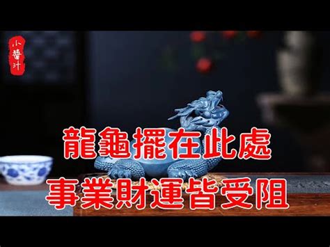 龍龜 房間|龍龜可放房間嗎？風水大師公開擺放技巧，教你消災擋煞招好運！